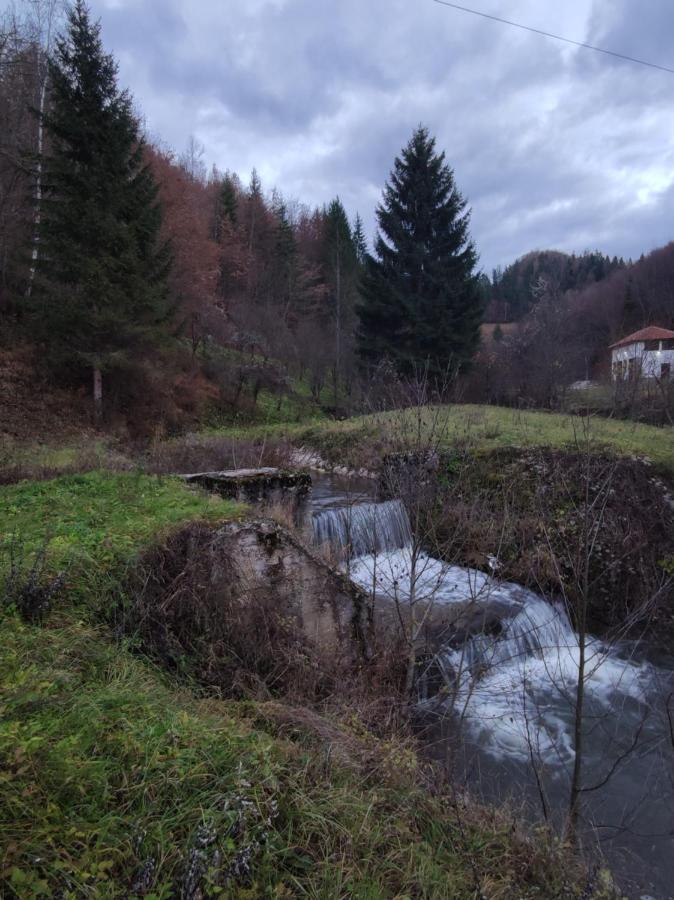 Bed and Breakfast Zlatarska Dolina Нова-Варош Екстер'єр фото