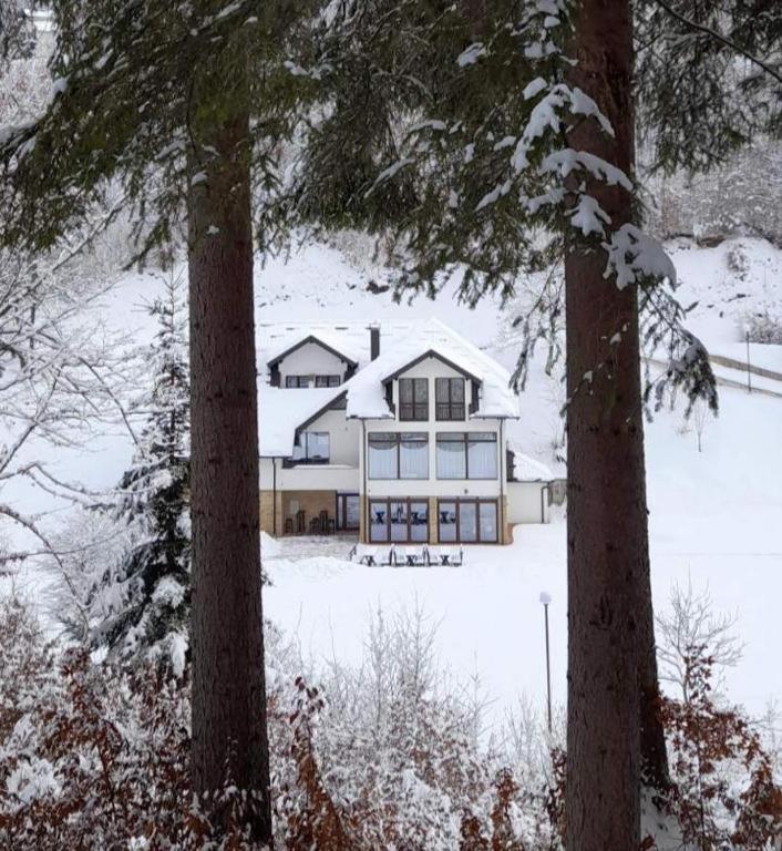 Bed and Breakfast Zlatarska Dolina Нова-Варош Екстер'єр фото